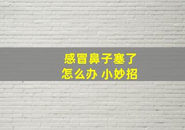 感冒鼻子塞了怎么办 小妙招